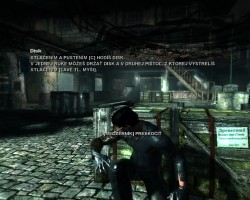 Dark Sector